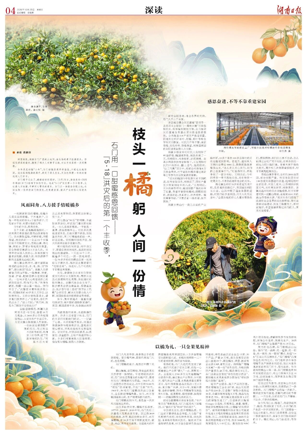 石门橘子又红了 | 枝头一“橘”躬 人间一份情