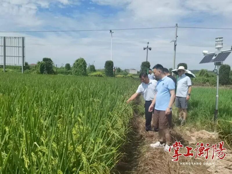 办好衡阳试验站！中国科学院地理资源所与衡阳深化合作，更多成果将落地