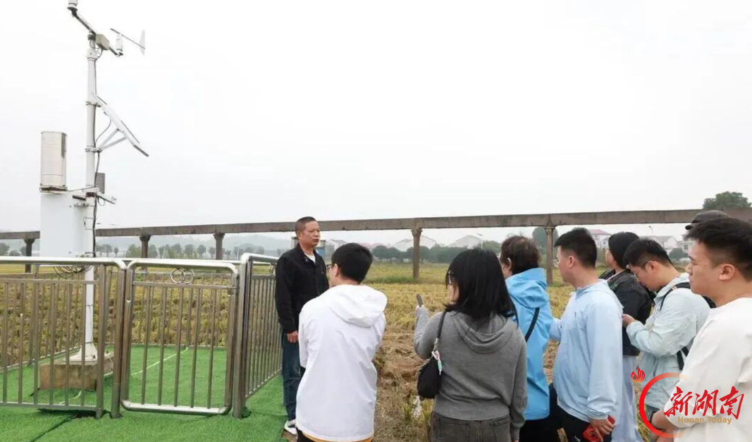 中央及省内主流媒体走进汨罗，探访气象服务龙舟赛事与特色产业
