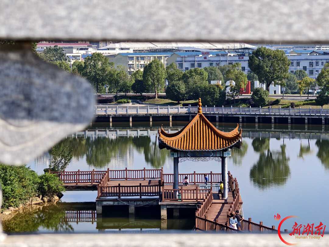 秋色征集令|物电拾秋景,青春赴韶光