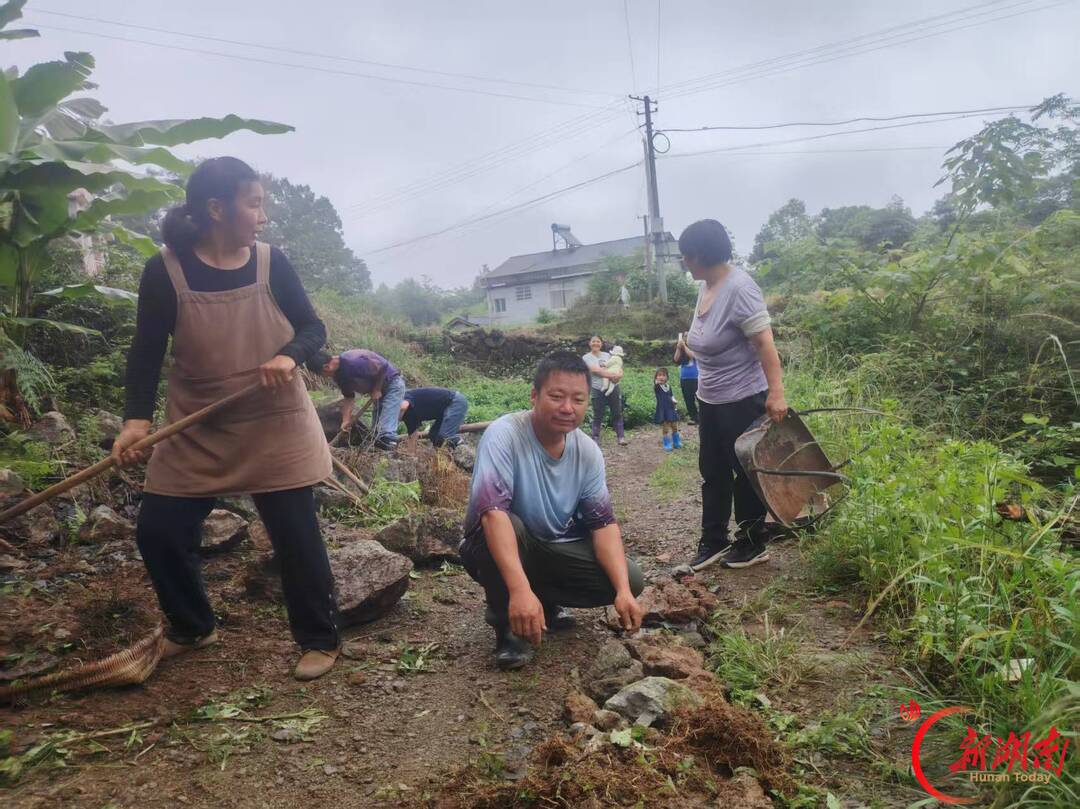 石门橘子又红了 | 枝头一“橘”躬 人间一份情