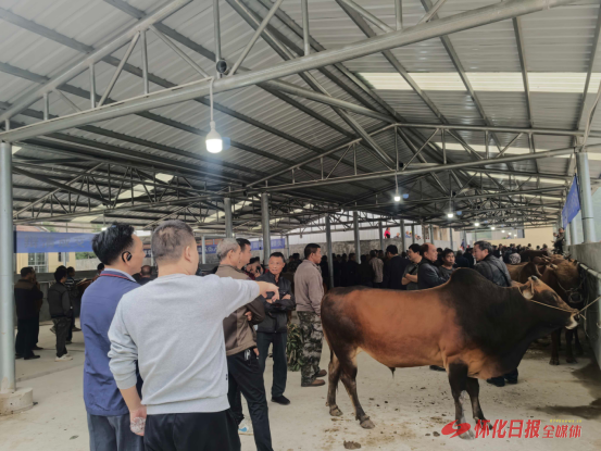 实干践初心 幸福惠万家——看新晃如何用心用情办好民生实事