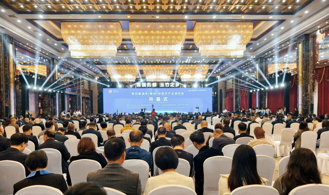 一座小镇的五座“桥”——邵东廉桥的药香密码