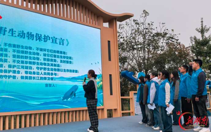 以江豚之名,还长江一个完整的微笑——2026年长江江豚保护宣传研讨活动侧记