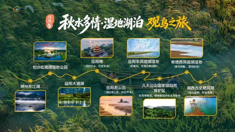 湖南秋天怎么玩？十条秋游线路出炉，还有消费券可领