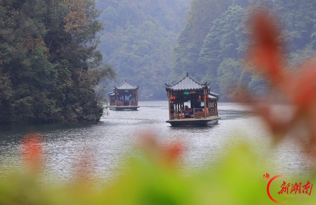 张家界宝峰湖景区秋游持续升温