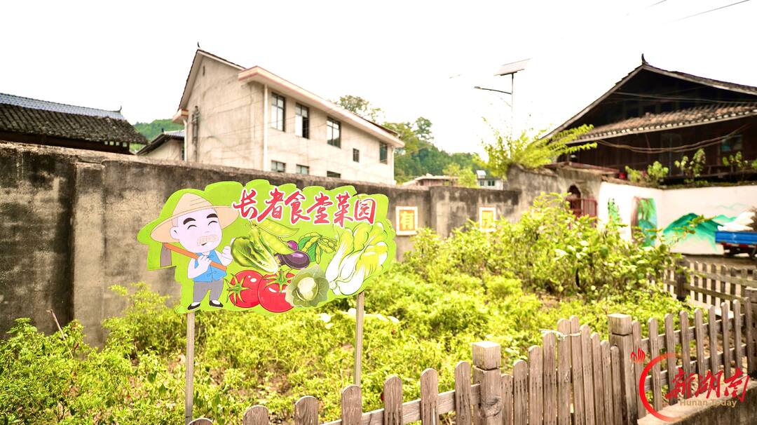 “小食堂” 托起“大民生” 会同县长者食堂守护老人“舌尖上的幸福”