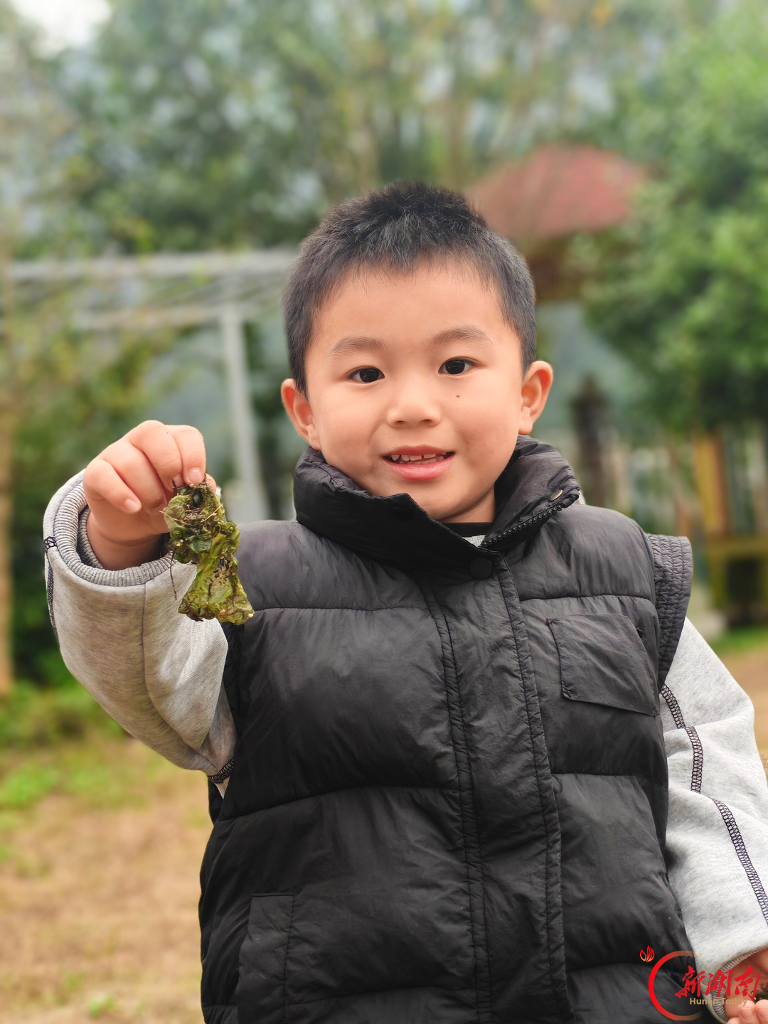 从山野到餐桌:张家界国家森林公园中心幼儿园把自然课“炒”出香味