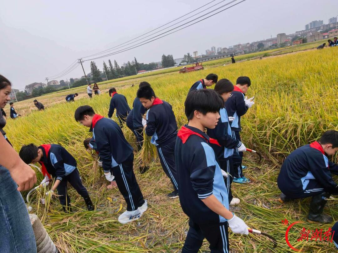 益阳市赫山区世通学校行走的研学课堂践行五育并举育人初心