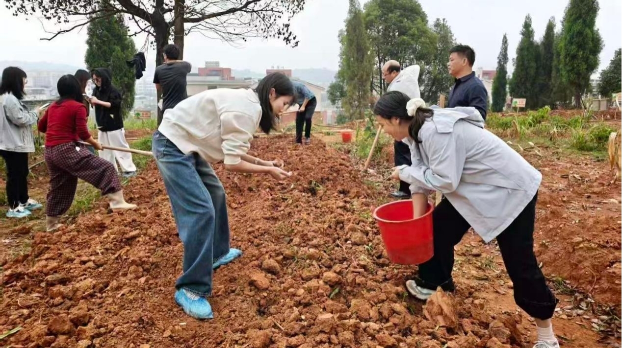 桂阳县东风中学:把劳动课堂搬进田间 以耕读实践书写五育新答卷