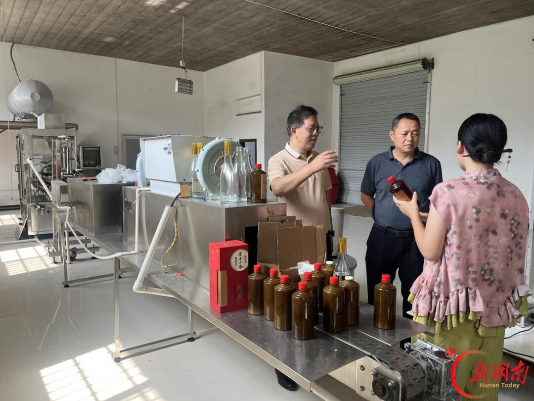 通道税务：酒香也怕巷子深 “小马灯”照亮通道侗酒复兴路