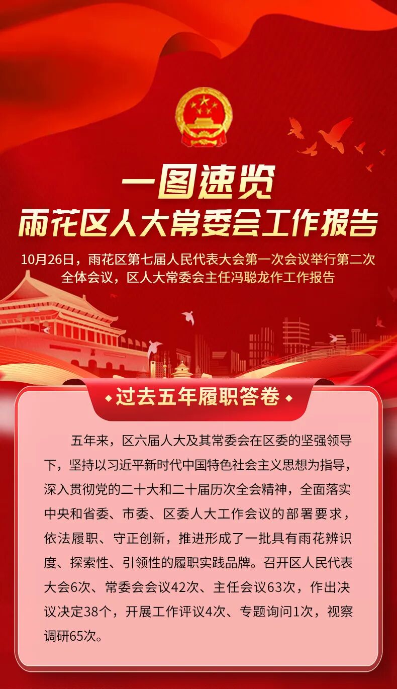 一图速览丨雨花区人大常委会工作报告