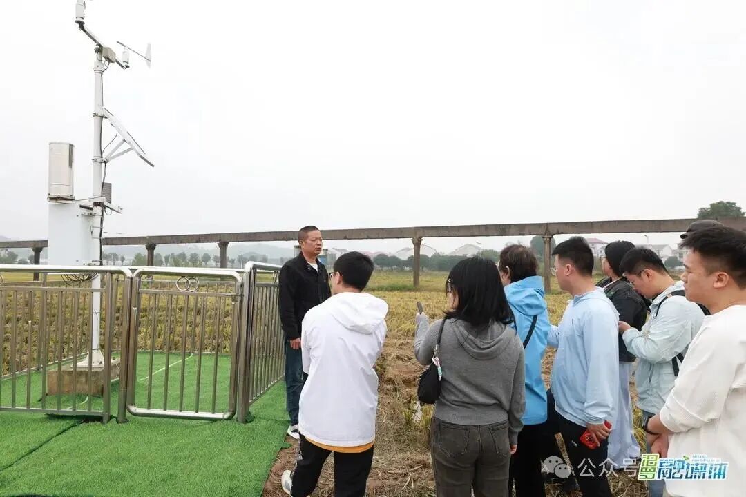中央及省内主流媒体走进汨罗,探访气象服务龙舟赛事与特色产业