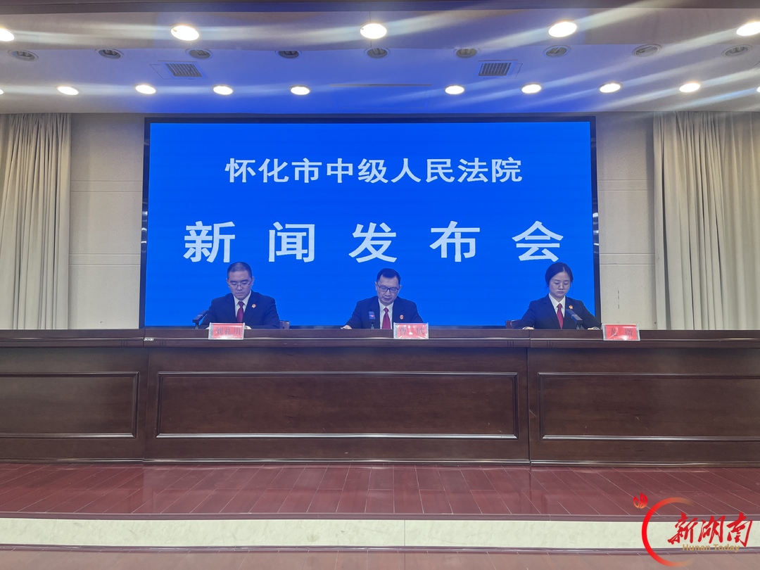 聚焦企业服务年,怀化法院构建全链条司法服务体系