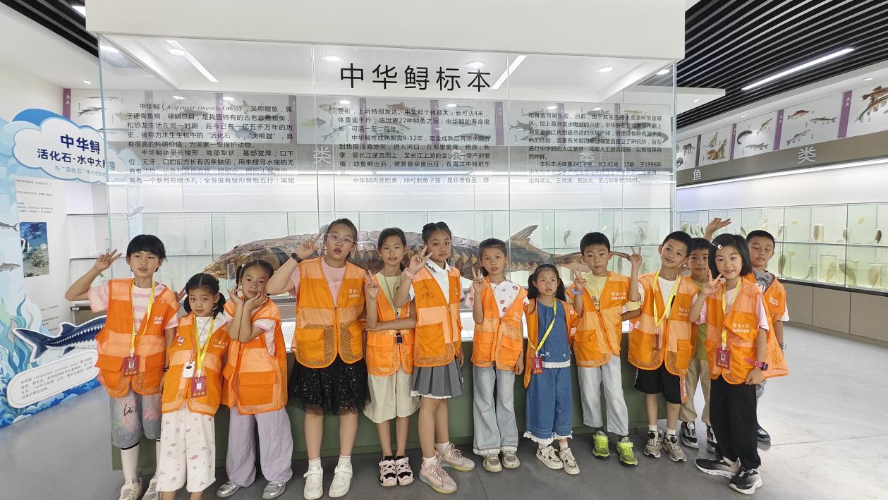 叩问求真知，笔墨写芳华——株洲市天元区凿石小学湖南日报全媒小记者年度总结
