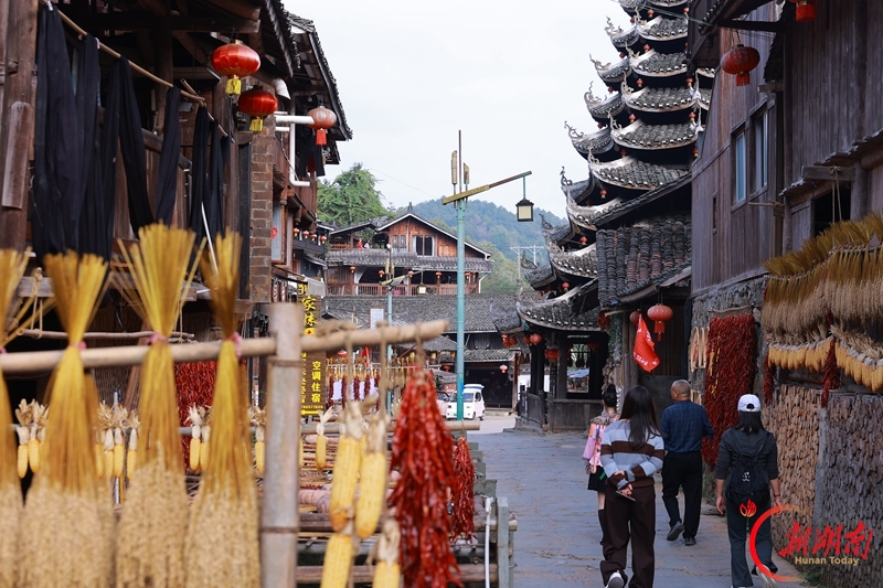 多彩“村游”引客来