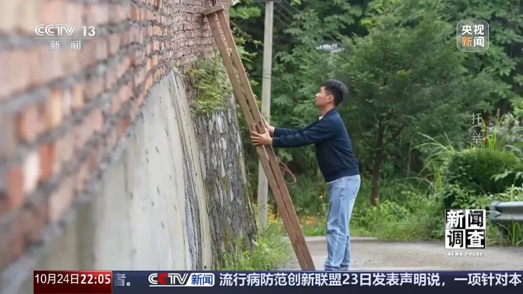 央视《新闻调查》聚焦湖南桂东县：“不因学致贫、不因贫失学”，一座县城的暖心托举