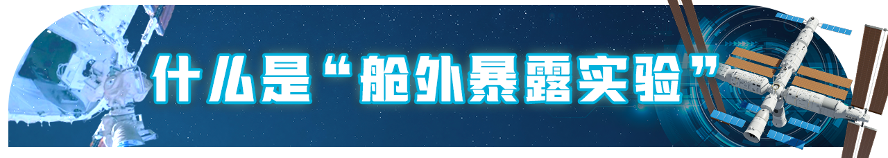 创下多项国际首次!这项太空实验有何门道