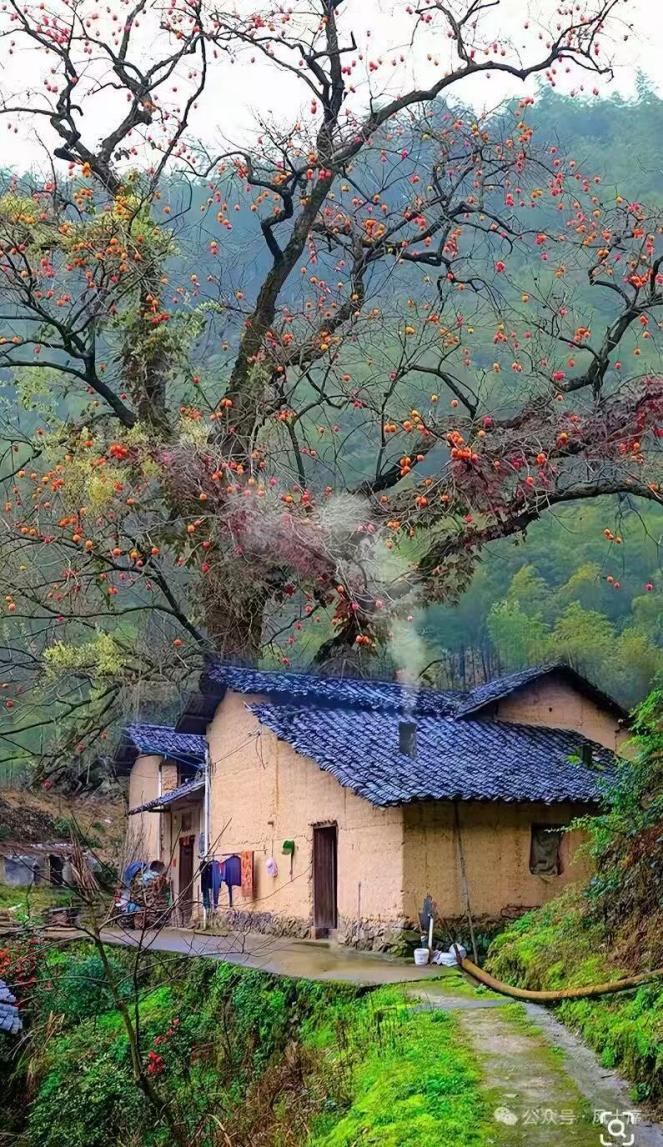 诗以境胜——贺夏盛《寸心集》序