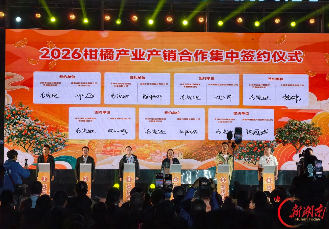 永州市“九分甜”柑橘采摘文化季启动 现场产销合作集中签约7.2亿元@湖南日报