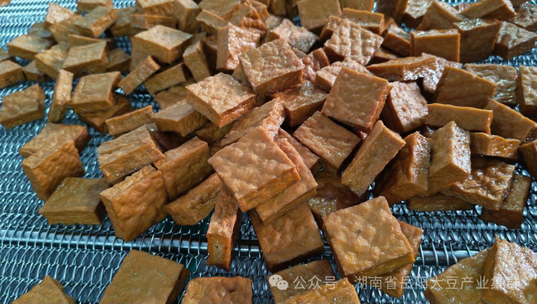 小豆干“卤”出新花样,岳阳大豆产业集群加工研发有新动作