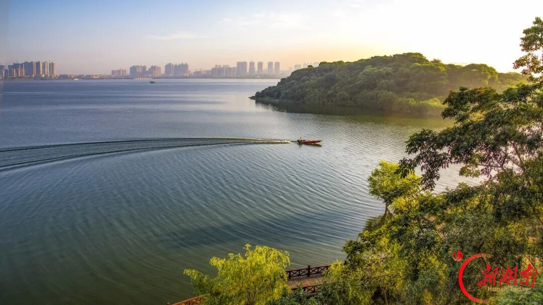 南湖美不美,镜头说了算|“天下岳阳·南湖美”摄影大赛征稿中
