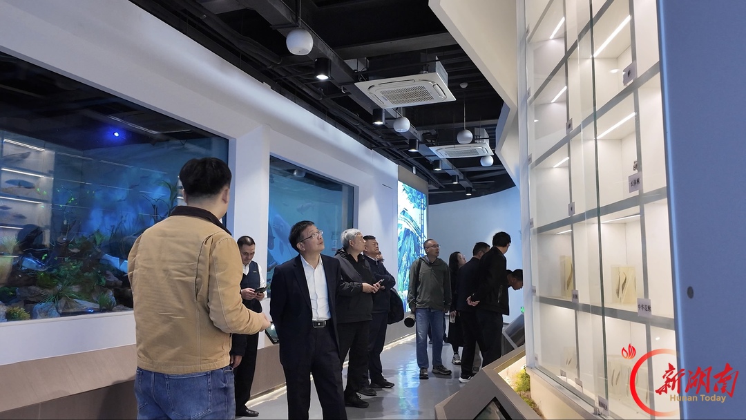 文学名家写汉寿 一湖飞鸟入文章——以文学赋能大张家界国际旅游区建设