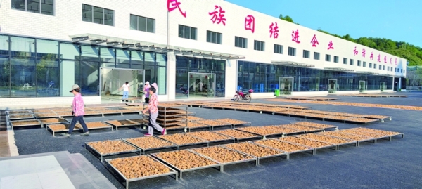 征途阔步七十载 青春侗乡正昂扬——新晃侗族自治县成立70周年发展成就综述