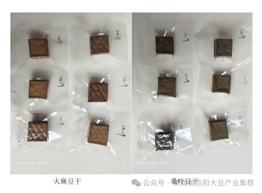 小豆干“卤”出新花样,岳阳大豆产业集群加工研发有新动作