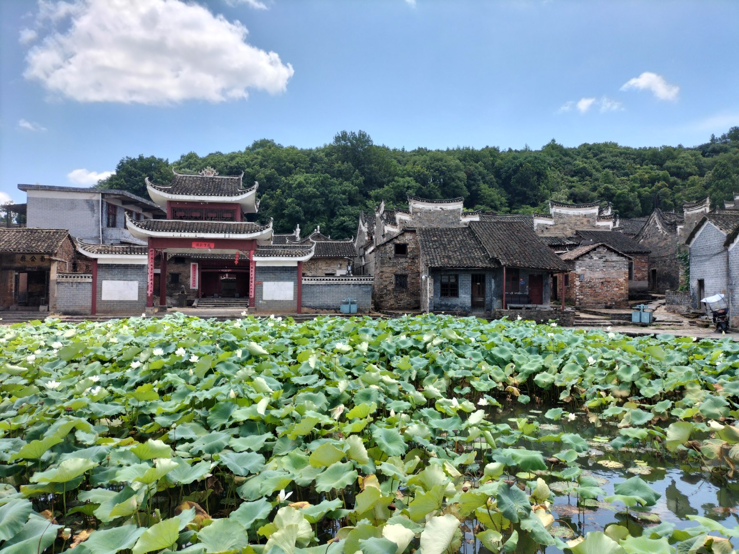 散文丨梦里板梁