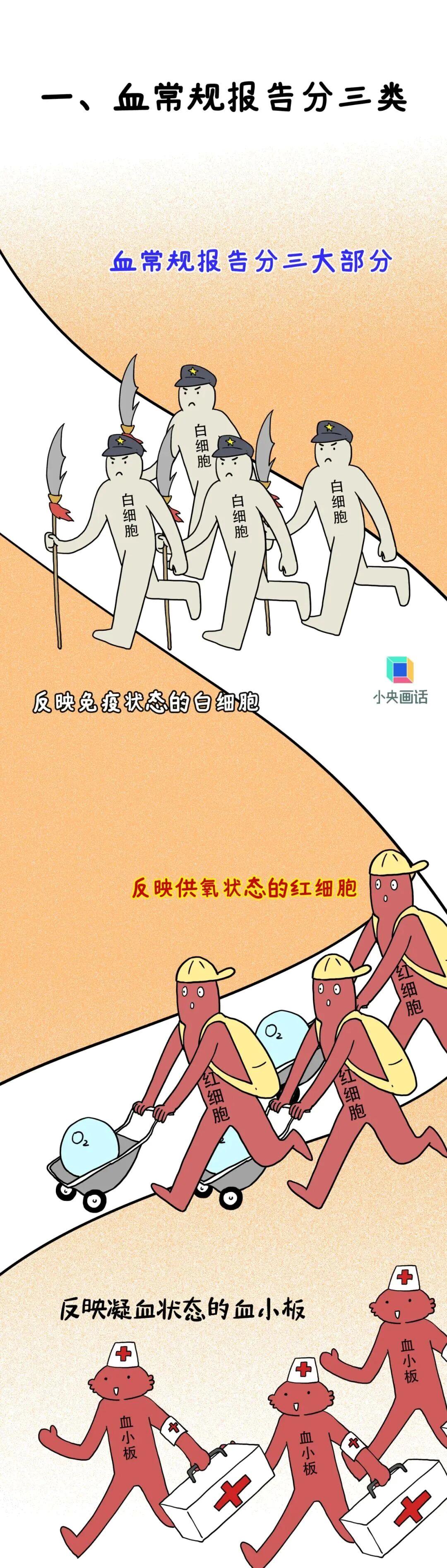 血常规报告上有箭头就是健康亮红灯?别自己吓自己了
