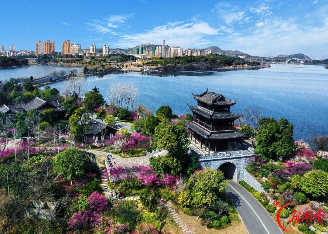 南湖美不美,镜头说了算|“天下岳阳·南湖美”摄影大赛征稿中
