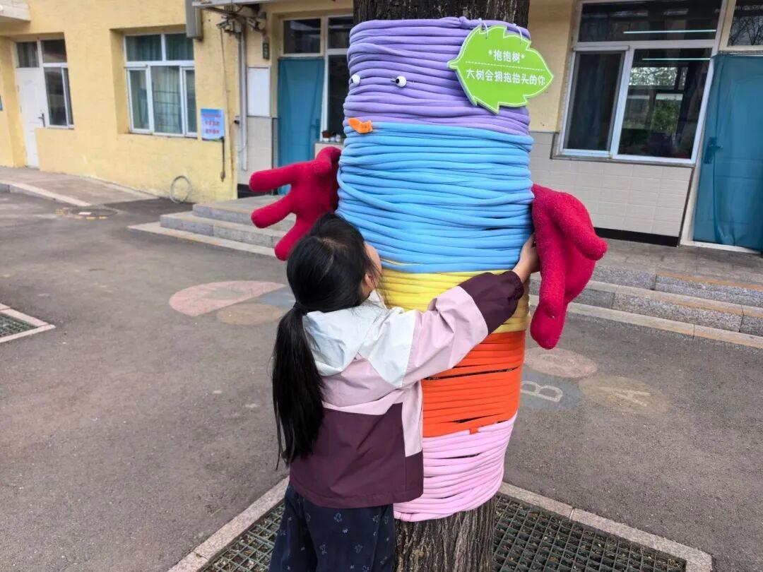 北京一小学里，有5棵“抱抱树”！不开心就来抱一抱