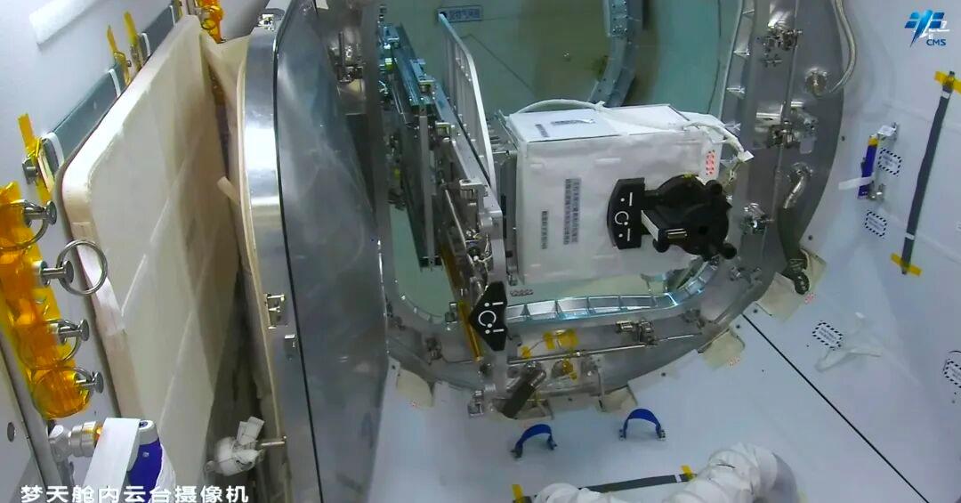 创下多项国际首次!这项太空实验有何门道