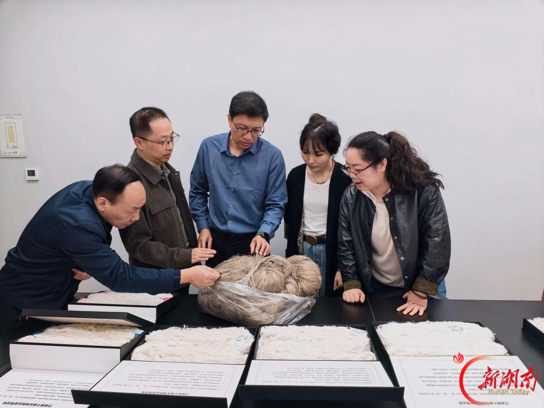 麻类纤维质量公证检验检测能力保障项目通过验收