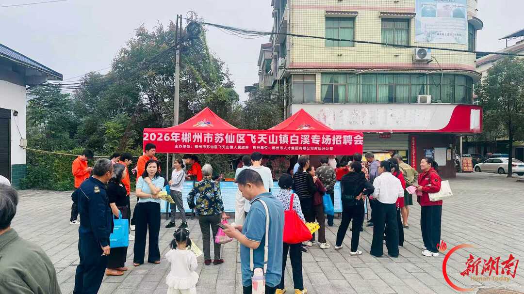 苏仙区飞天山镇:就业社保服务送进村