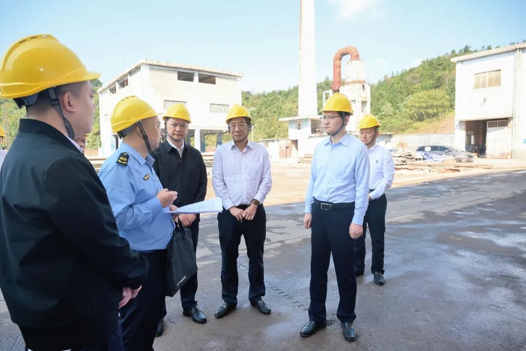 阚保勇调研重点项目建设工作