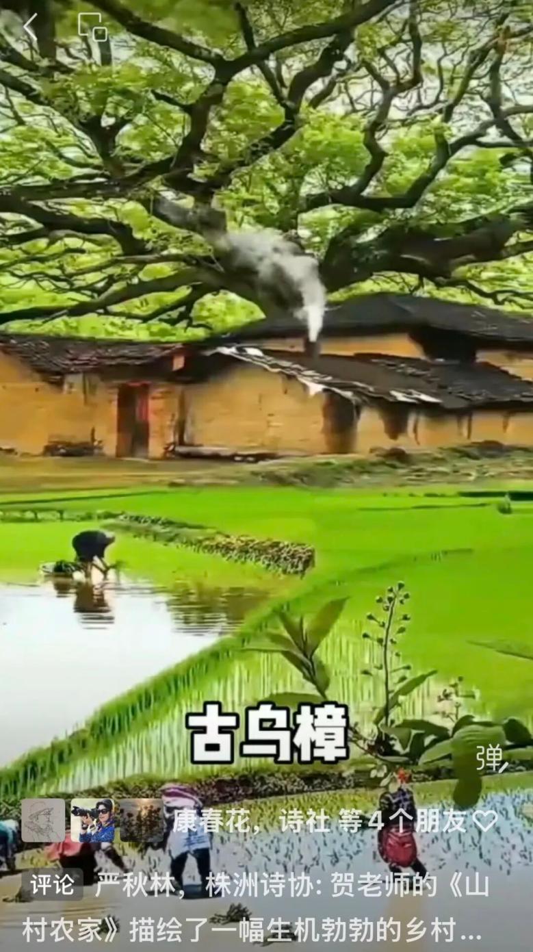 诗以境胜——贺夏盛《寸心集》序