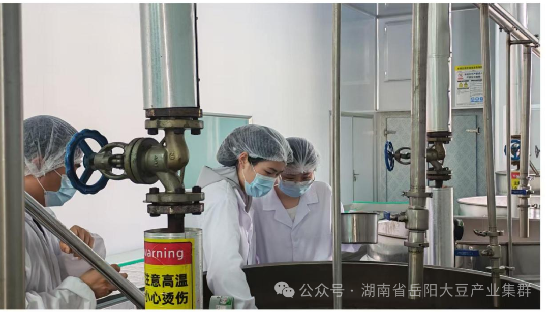 小豆干“卤”出新花样,岳阳大豆产业集群加工研发有新动作