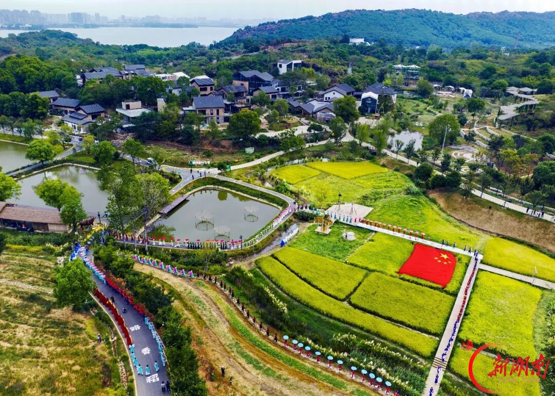 南湖美不美,镜头说了算|“天下岳阳·南湖美”摄影大赛征稿中