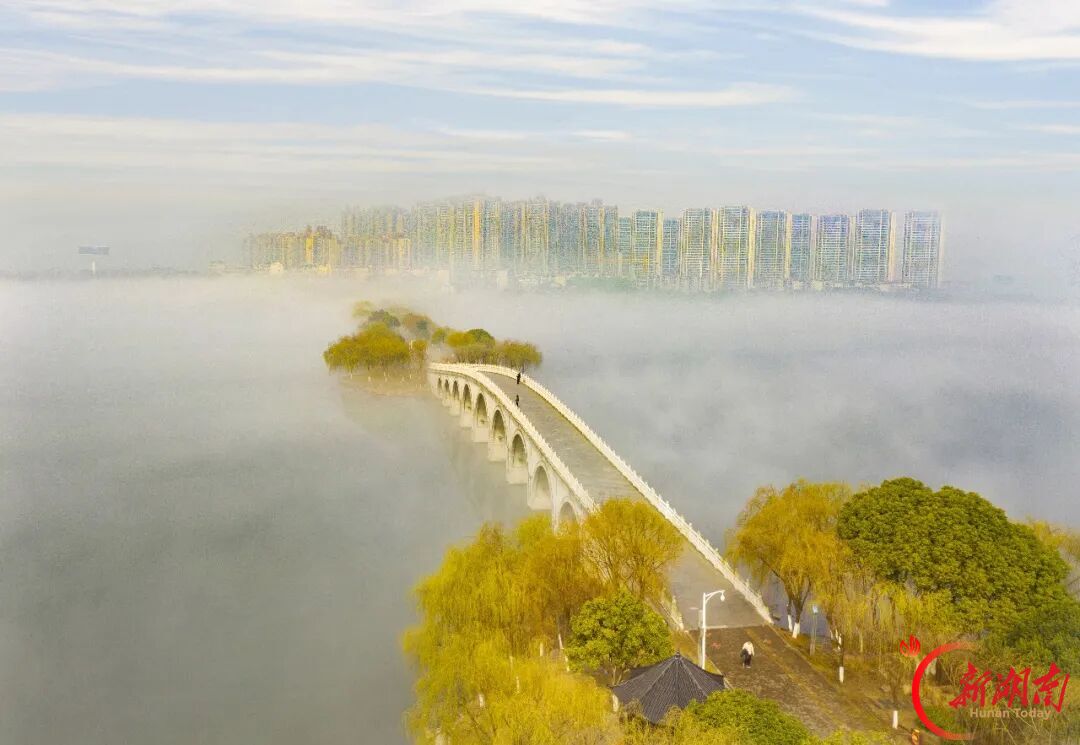 南湖美不美,镜头说了算|“天下岳阳·南湖美”摄影大赛征稿中