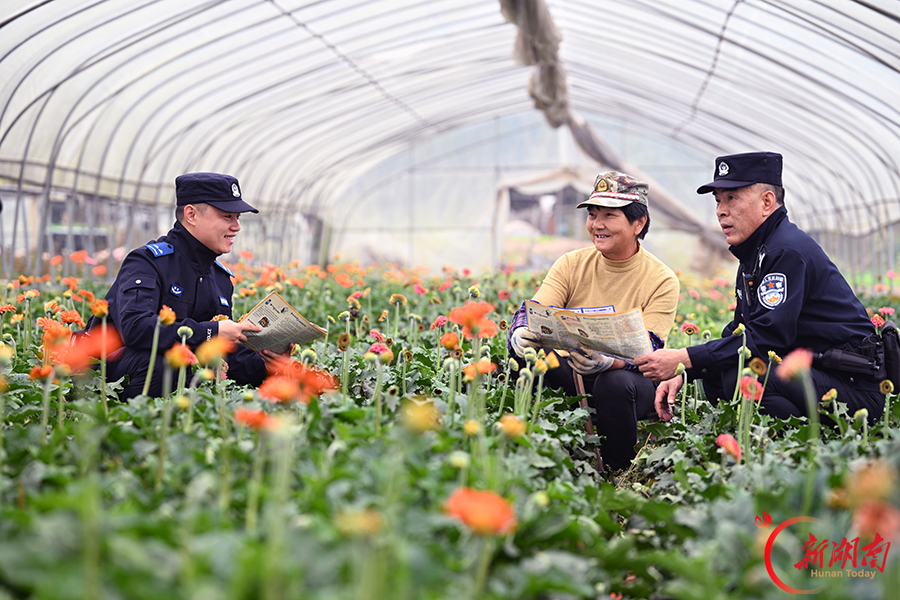 法治宣传到田头