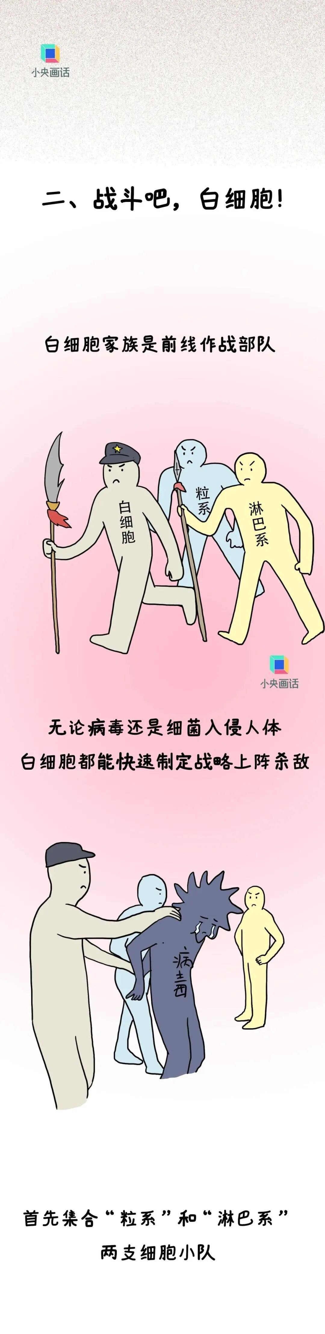 血常规报告上有箭头就是健康亮红灯?别自己吓自己了