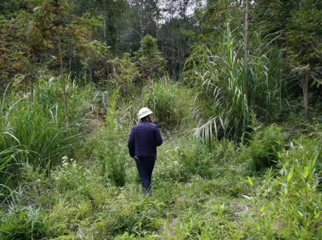 揪心30小时!汝城深山里,一声“找到了”安了上百人的心