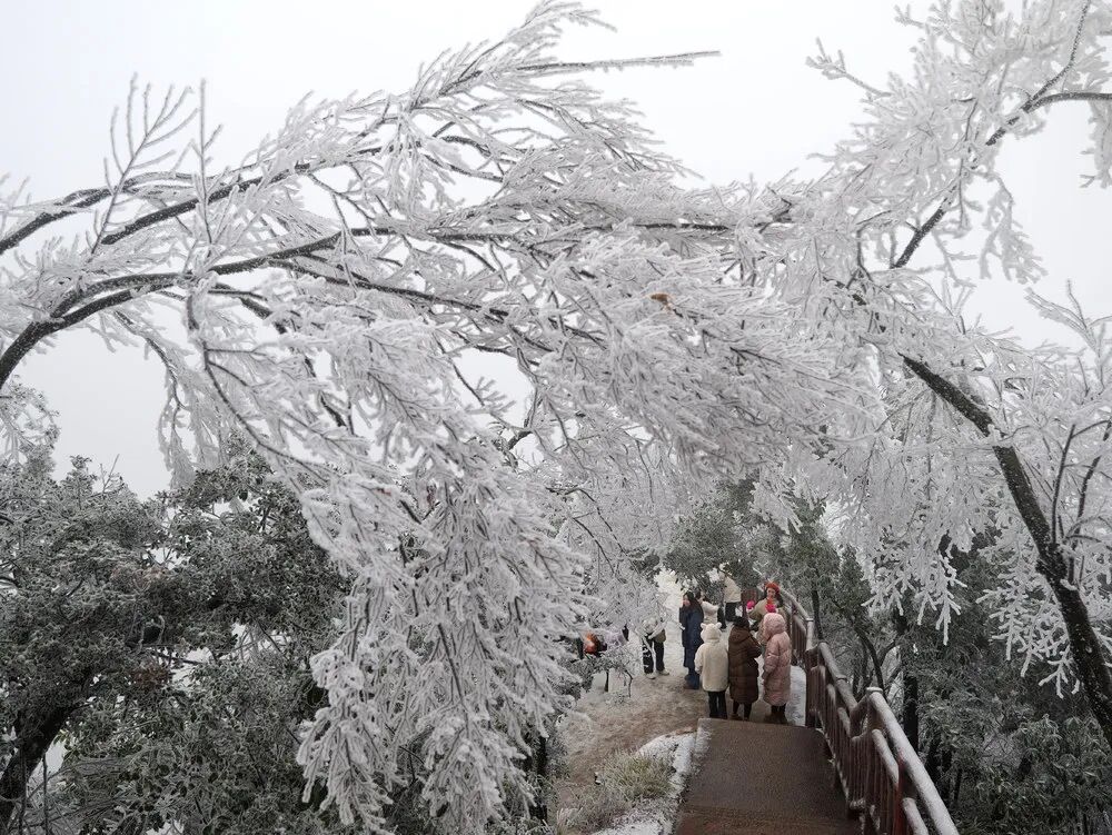 寻找摄影师丨鄢跃斌:崀山,天天出片!