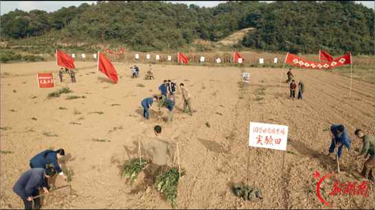 永州回龙圩:一片农垦沃土 一段知青记忆 一座果香四溢的柑橘之乡