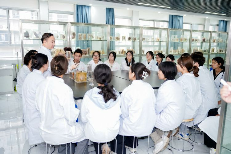 从“齿”出发 向“新”而行——湖南中医药大学口腔医学专业廿五载育人观察