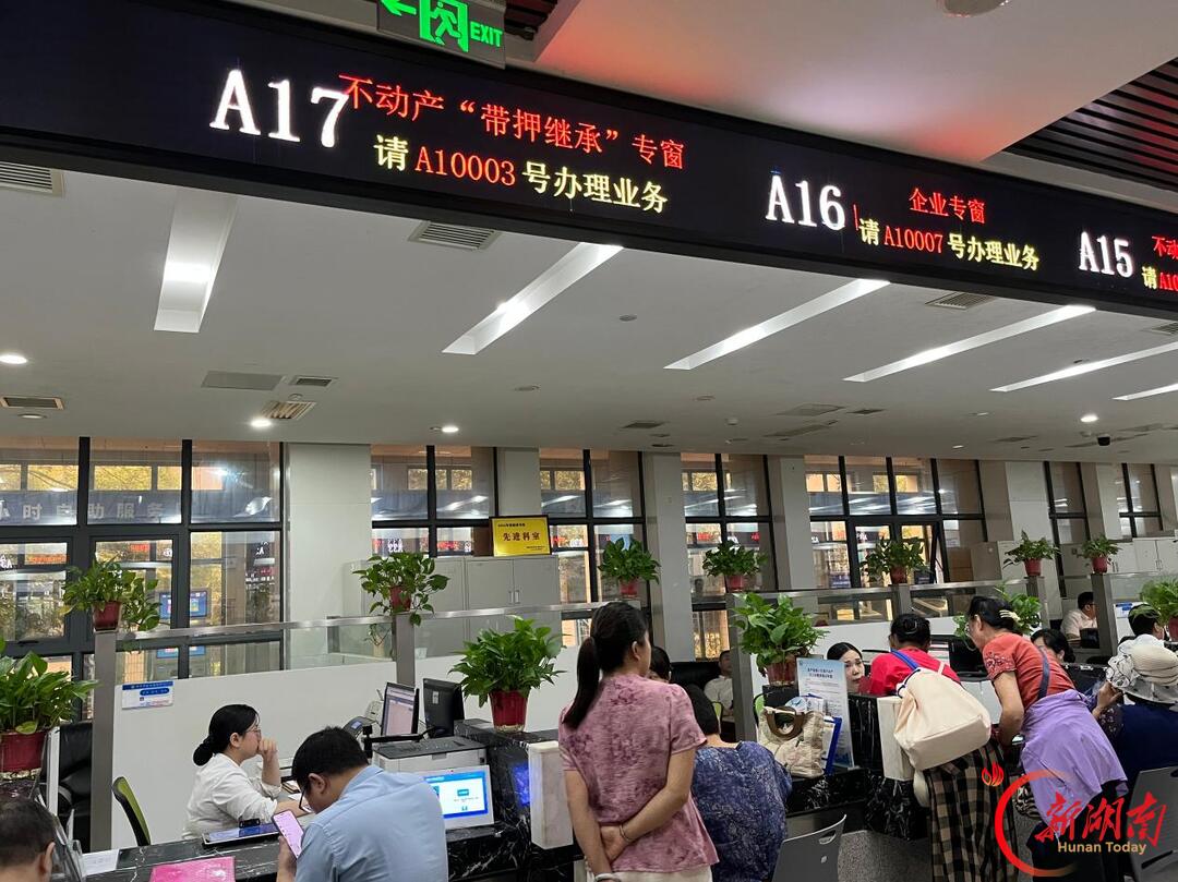“你们服务又快又好!”——衡阳市不动产登记中心暖企惠民纪实