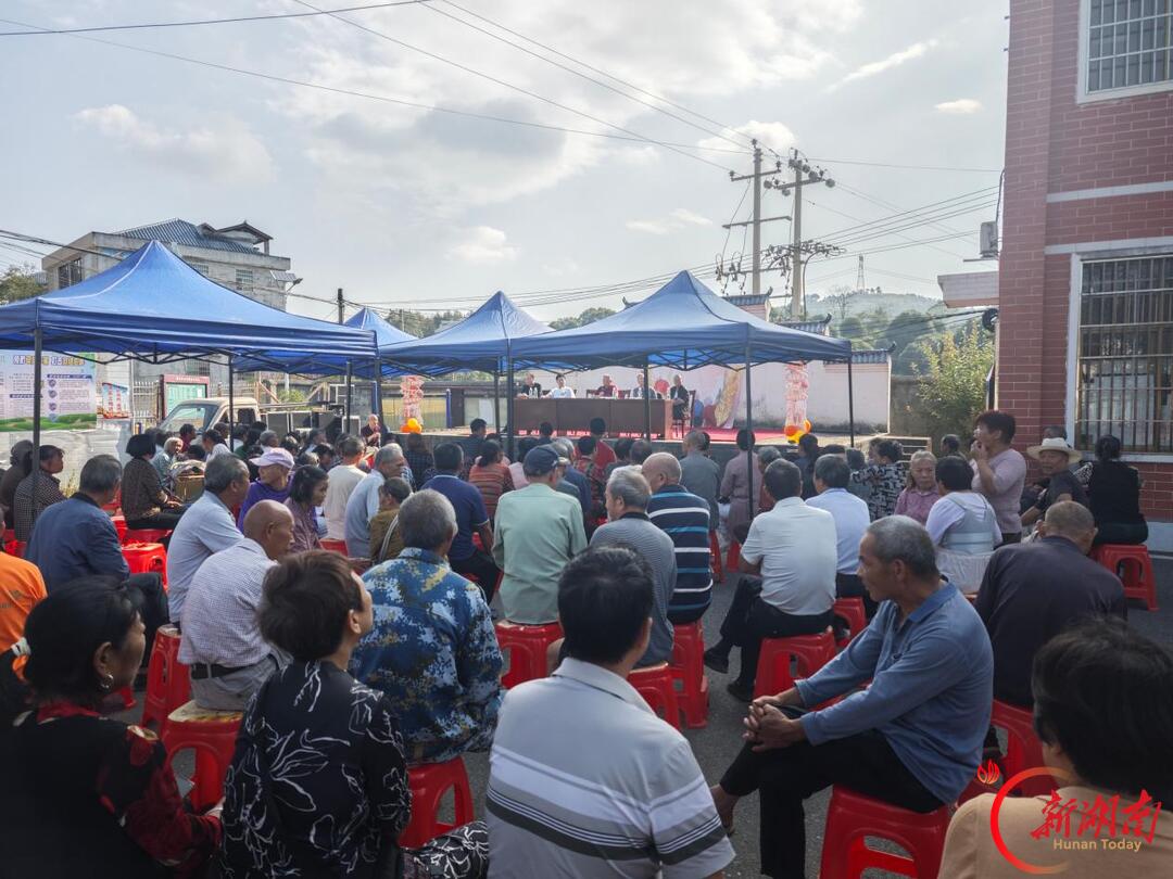 银发丹心映花桥 余热生辉谱新篇——邵阳县下花桥镇退休干部党支部近期系列活动纪实