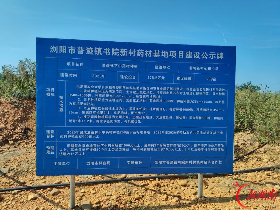 油茶树下生金叶——浏阳市普迹镇书院新村林改兴村纪实